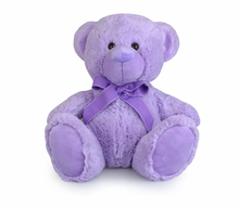 Load image into Gallery viewer, BUDDYPURPLE-PersonalisedTeddyBear40cm (Korimco)
