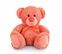 Load image into Gallery viewer, BUDDYSALMON-PersonalisedTeddyBear40cm (Korimco)
